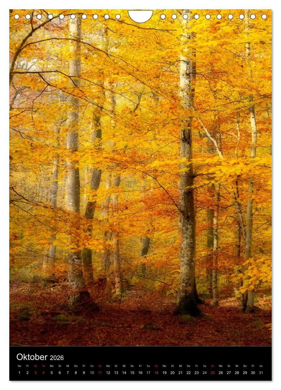 Bild: 9783516454505 | Orte der Ruhe (Wandkalender 2026 DIN A4 hoch), CALVENDO Monatskalender