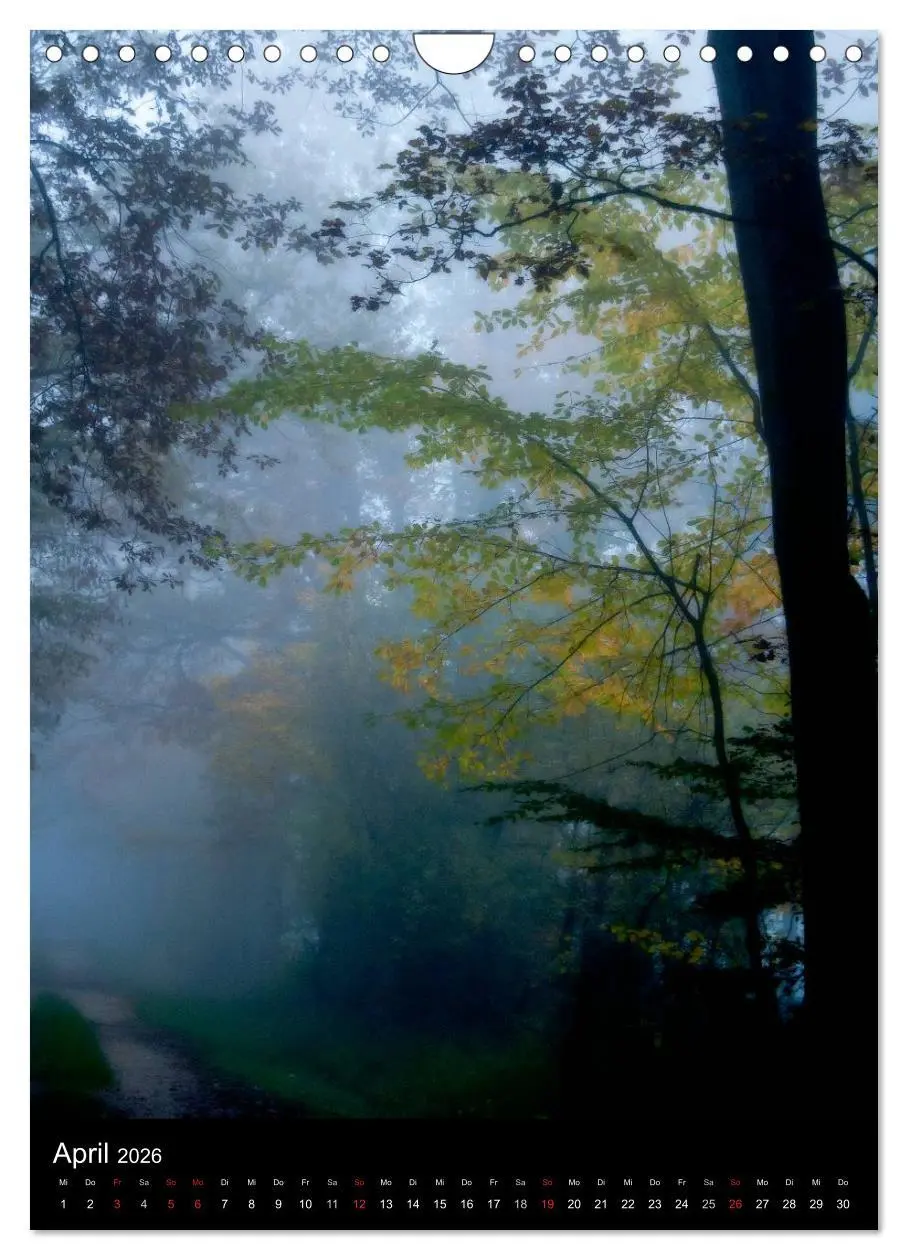 Bild: 9783516454505 | Orte der Ruhe (Wandkalender 2026 DIN A4 hoch), CALVENDO Monatskalender