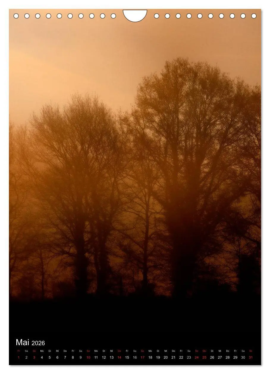 Bild: 9783516454505 | Orte der Ruhe (Wandkalender 2026 DIN A4 hoch), CALVENDO Monatskalender