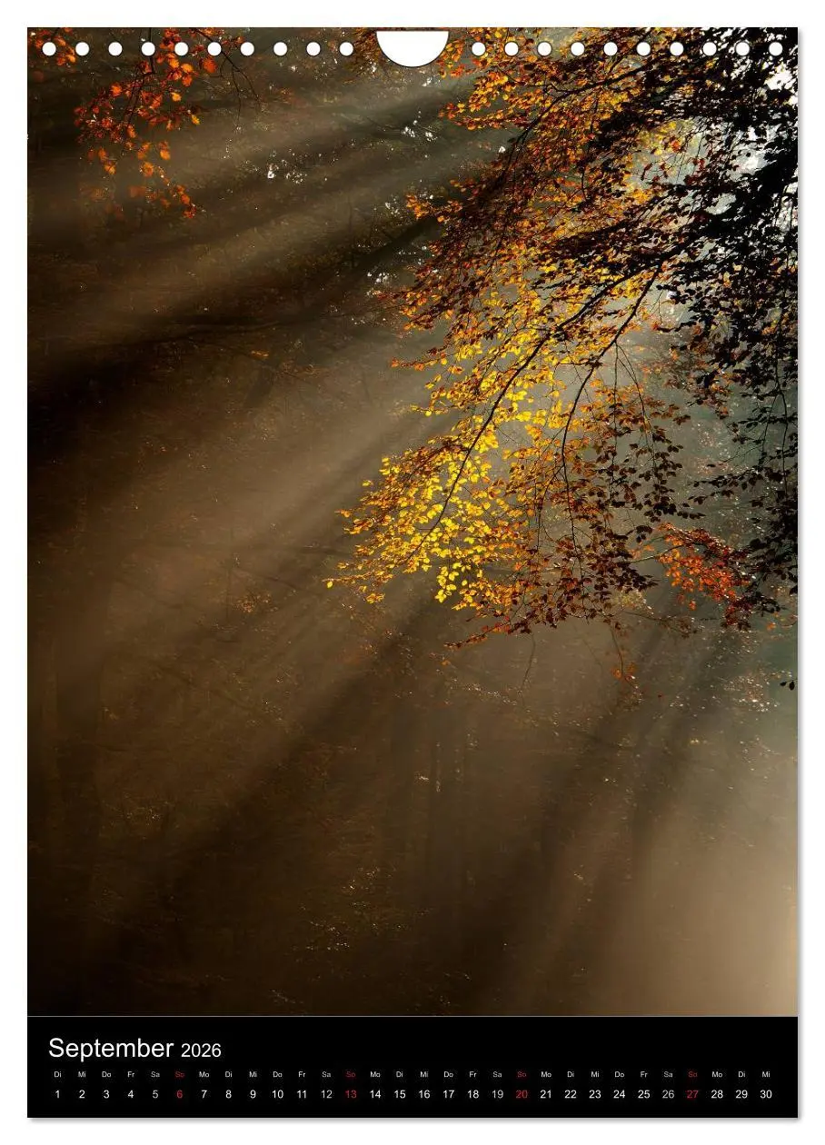 Bild: 9783516454505 | Orte der Ruhe (Wandkalender 2026 DIN A4 hoch), CALVENDO Monatskalender