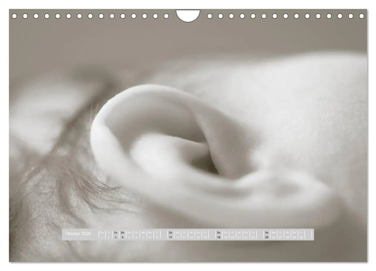 Bild: 9783516134605 | ...so winzig - Babykalender (Wandkalender 2026 DIN A4 quer),...
