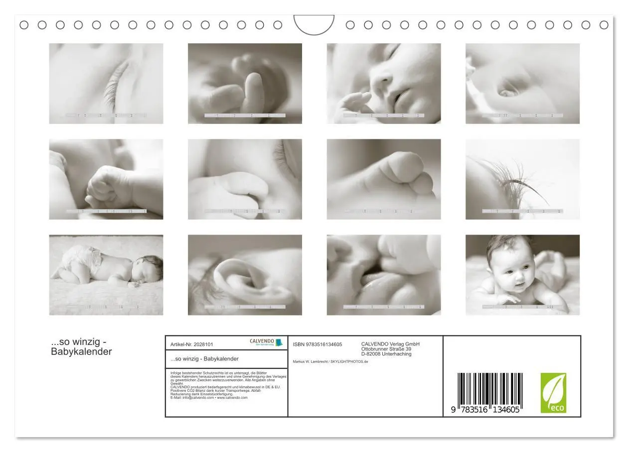 Bild: 9783516134605 | ...so winzig - Babykalender (Wandkalender 2026 DIN A4 quer),...
