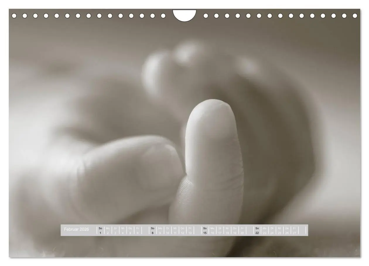 Bild: 9783516134605 | ...so winzig - Babykalender (Wandkalender 2026 DIN A4 quer),...