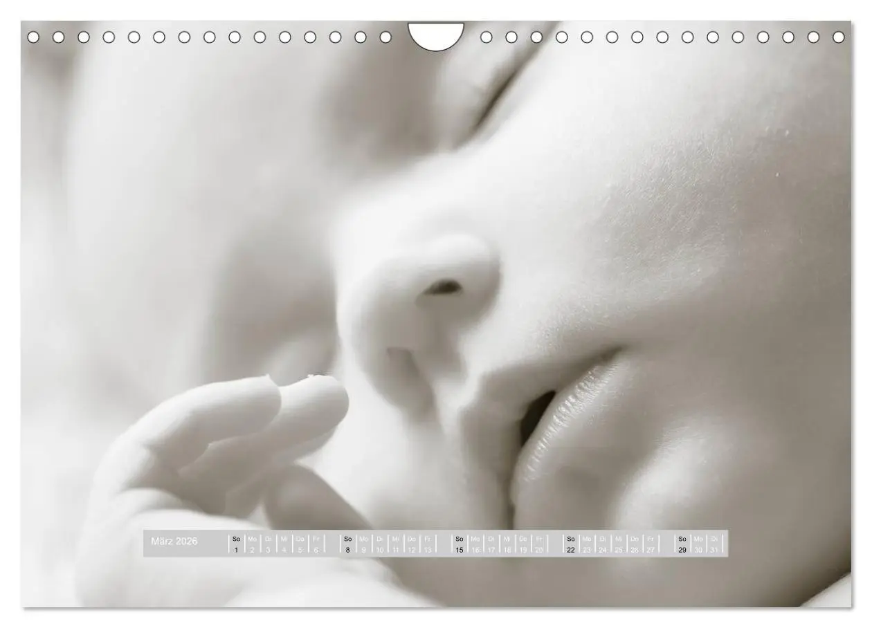 Bild: 9783516134605 | ...so winzig - Babykalender (Wandkalender 2026 DIN A4 quer),...