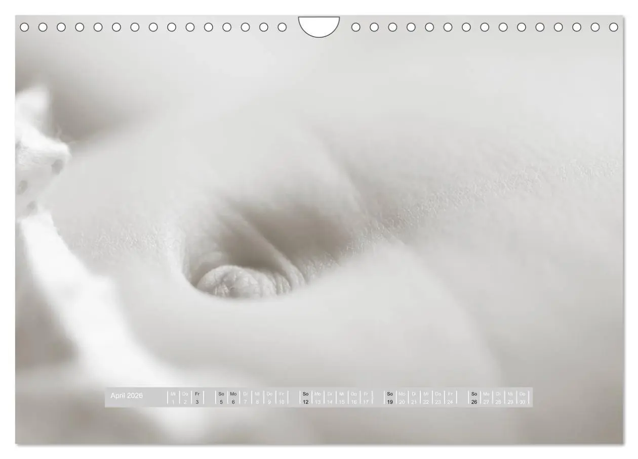 Bild: 9783516134605 | ...so winzig - Babykalender (Wandkalender 2026 DIN A4 quer),...