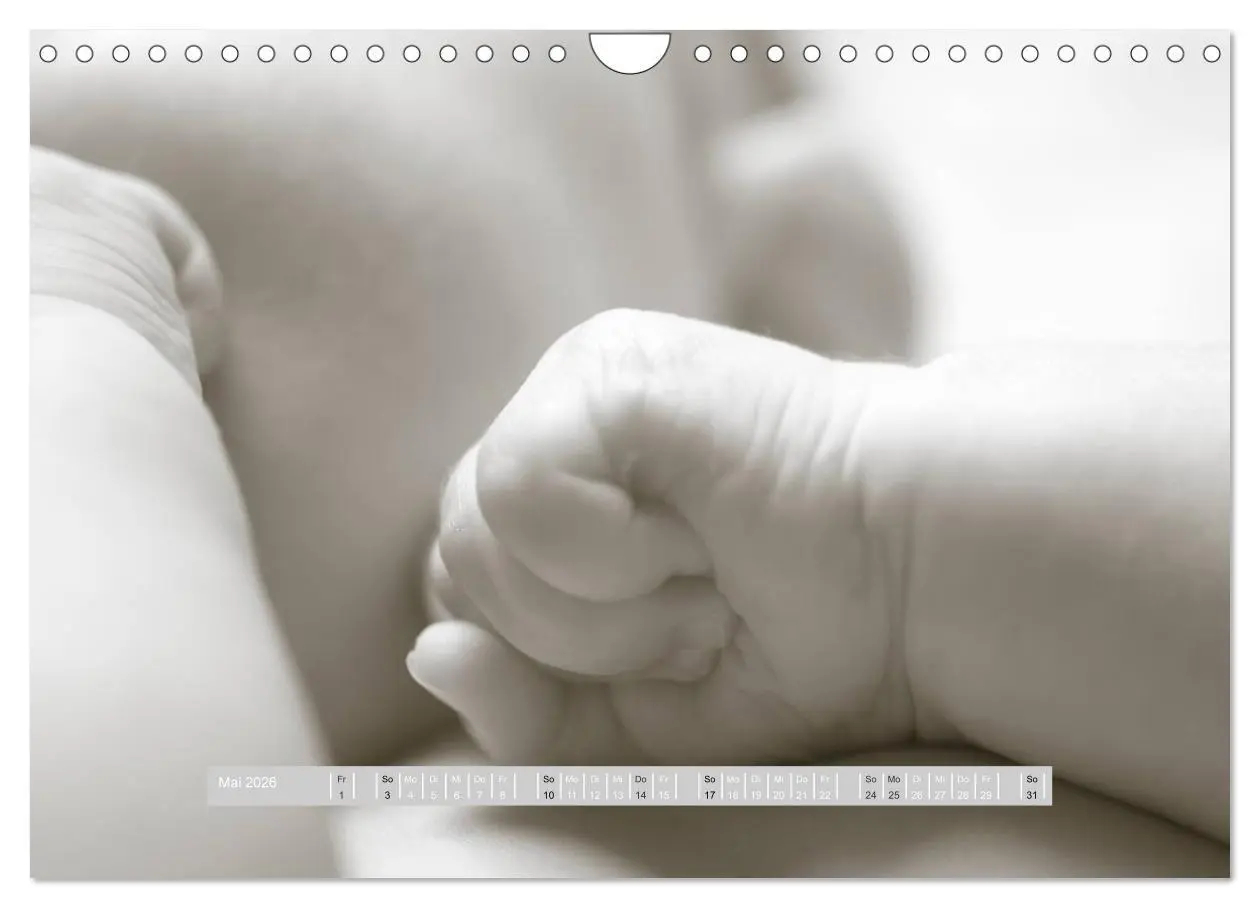Bild: 9783516134605 | ...so winzig - Babykalender (Wandkalender 2026 DIN A4 quer),...