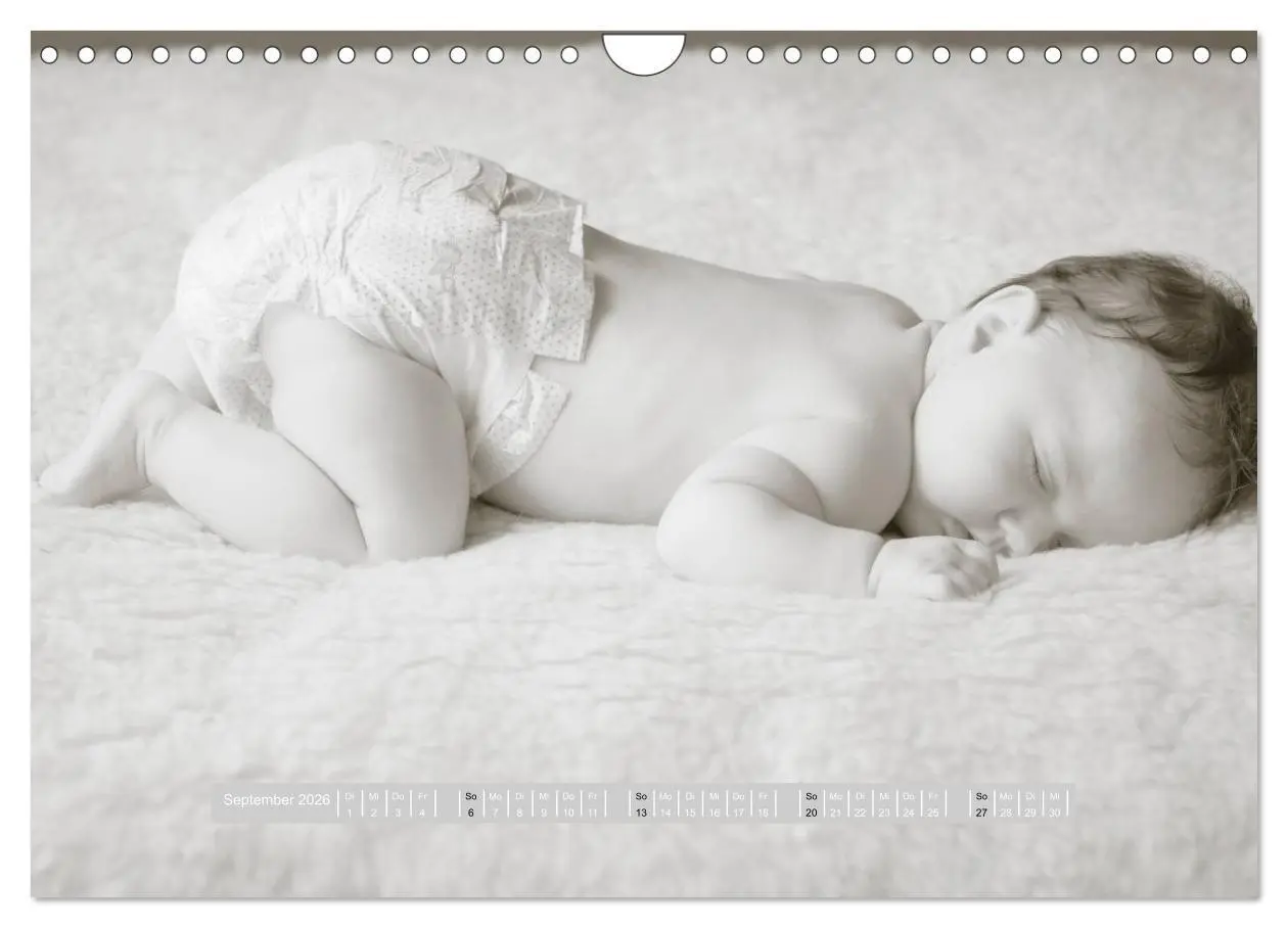 Bild: 9783516134605 | ...so winzig - Babykalender (Wandkalender 2026 DIN A4 quer),...