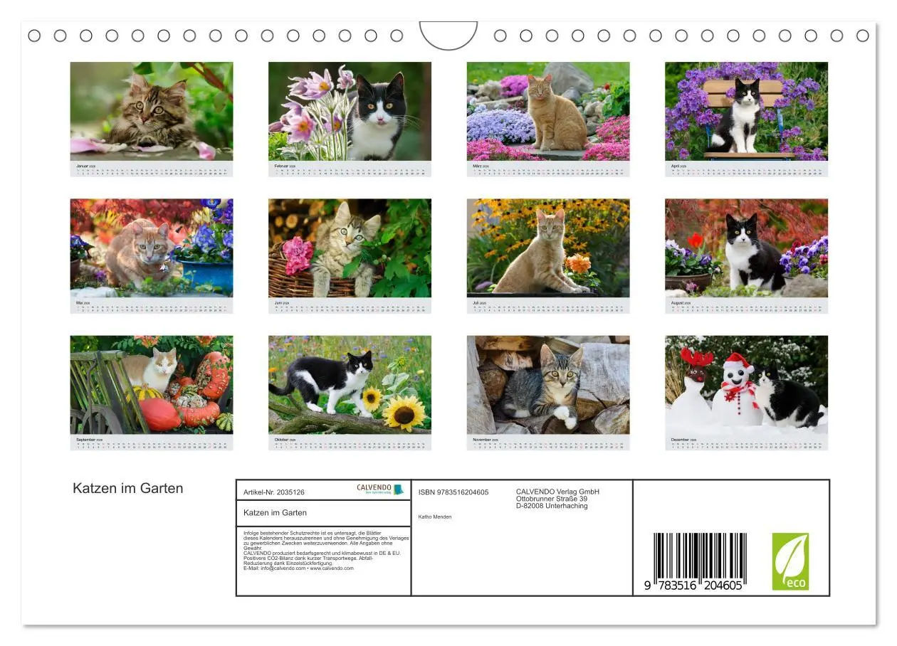 Bild: 9783516204605 | Katzen im Garten (Wandkalender 2026 DIN A4 quer), CALVENDO...