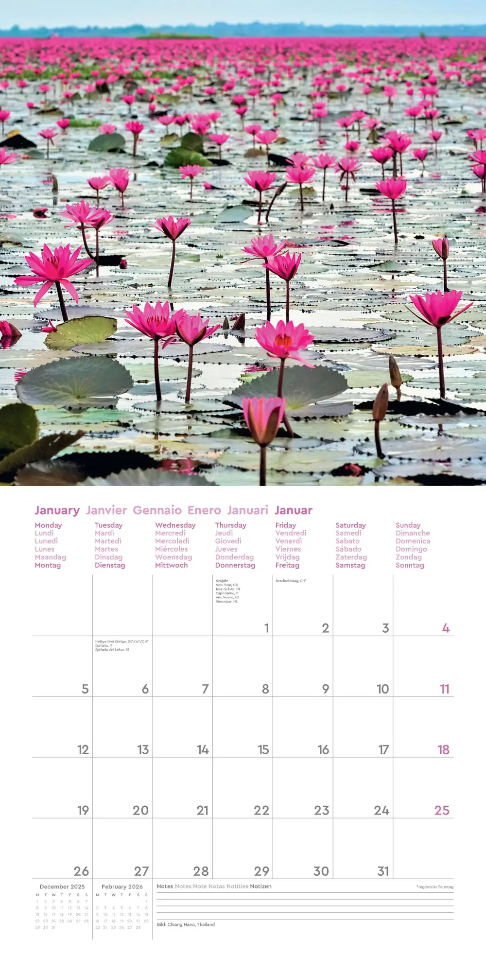 Bild: 9783965914605 | Aufgeblüht - KUNTH Broschurkalender 2026 | Kalender | 28 S. | Deutsch