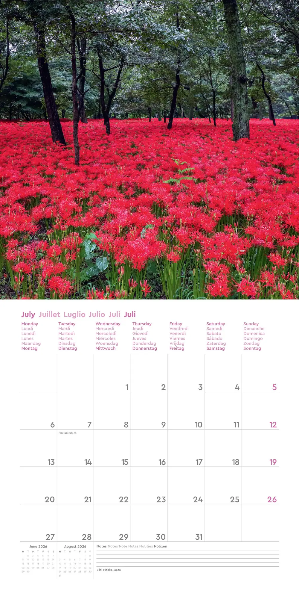 Bild: 9783965914605 | Aufgeblüht - KUNTH Broschurkalender 2026 | Kalender | 28 S. | Deutsch