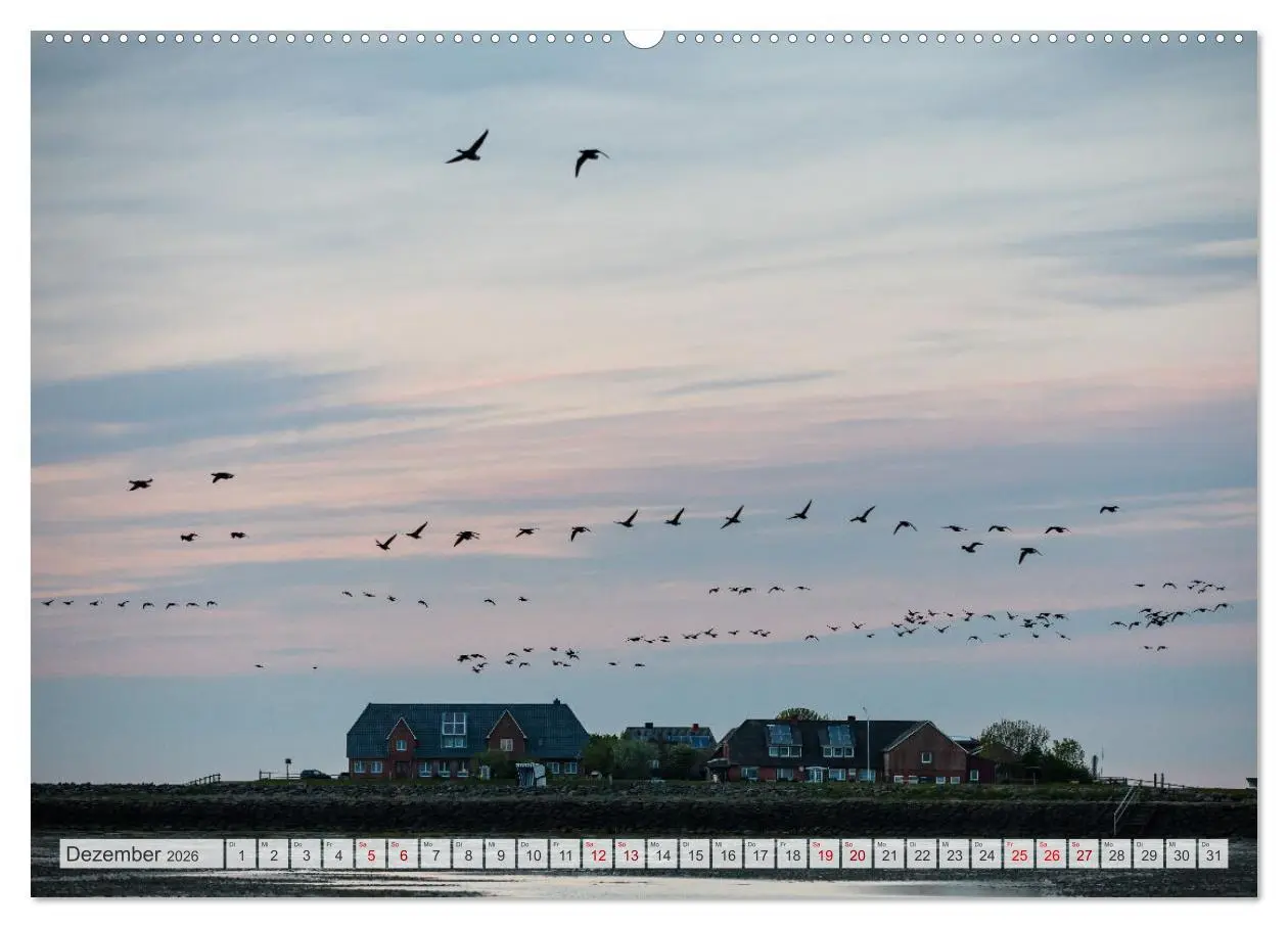 Bild: 9783457584705 | Wunderschöne Hallig Hooge (Wandkalender 2026 DIN A2 quer), CALVENDO...