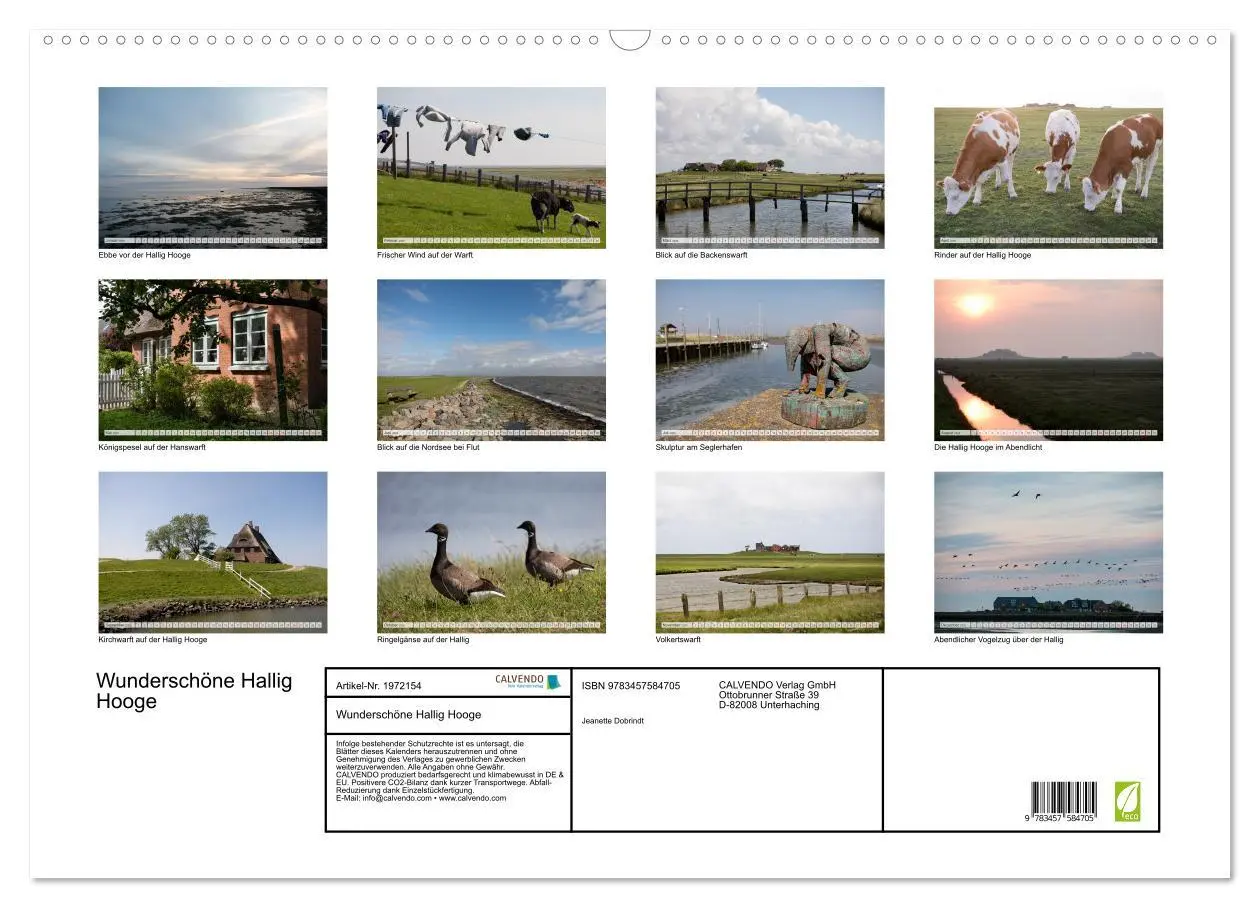 Bild: 9783457584705 | Wunderschöne Hallig Hooge (Wandkalender 2026 DIN A2 quer), CALVENDO...