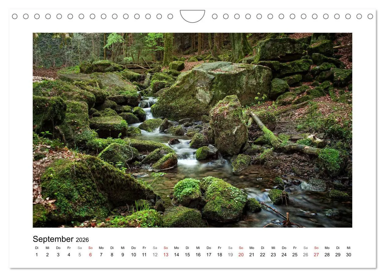 Bild: 9783457724705 | Impressionen aus Ostwestfalen-Lippe (Wandkalender 2026 DIN A4...