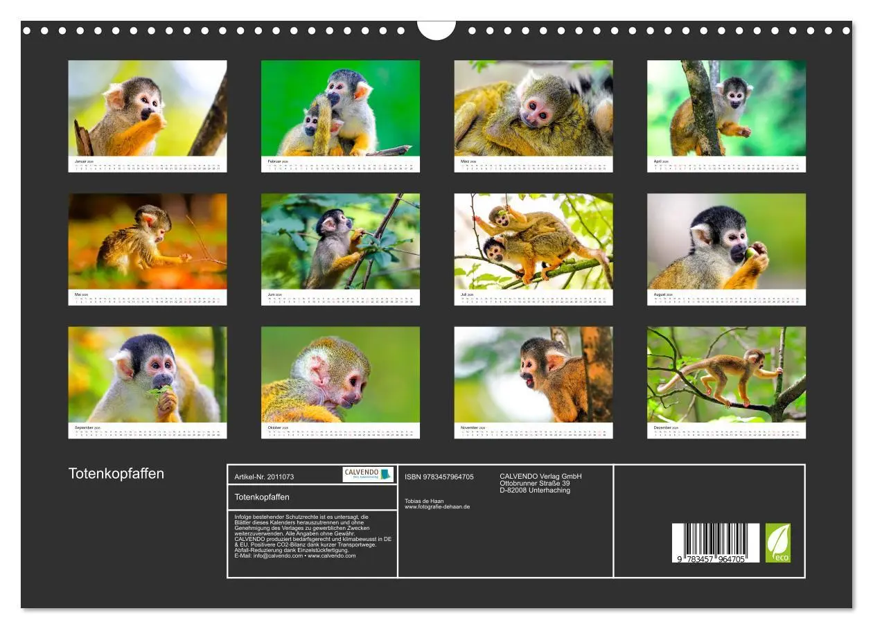 Bild: 9783457964705 | Totenkopfaffen (Wandkalender 2026 DIN A3 quer), CALVENDO...