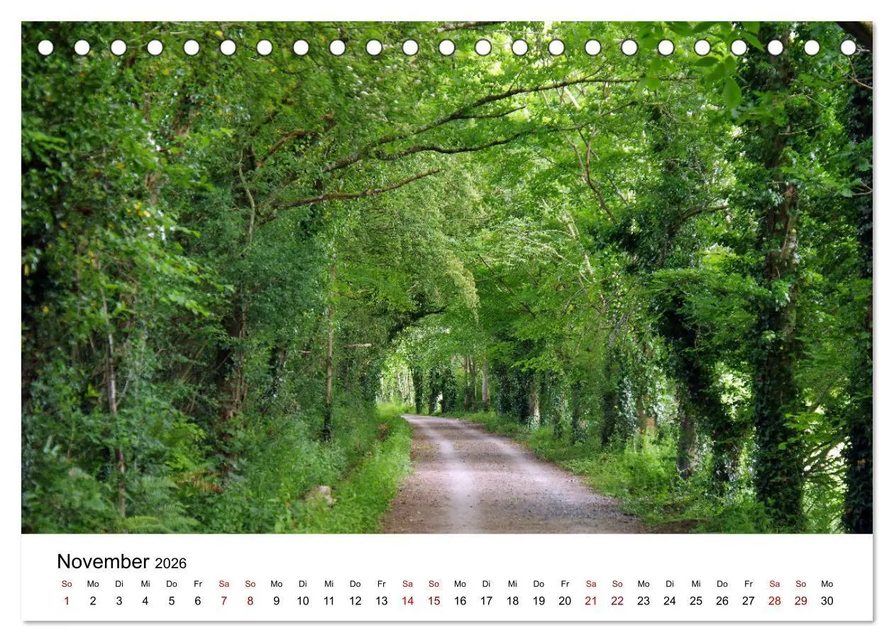 Bild: 9783457884805 | Cornwall und Wales (Tischkalender 2026 DIN A5 quer), CALVENDO...