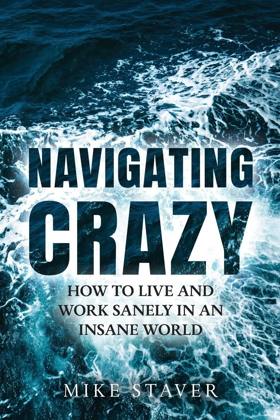 Cover: 9798318844805 | Navigating Crazy | How to Live and Work Sanely in an Insane World