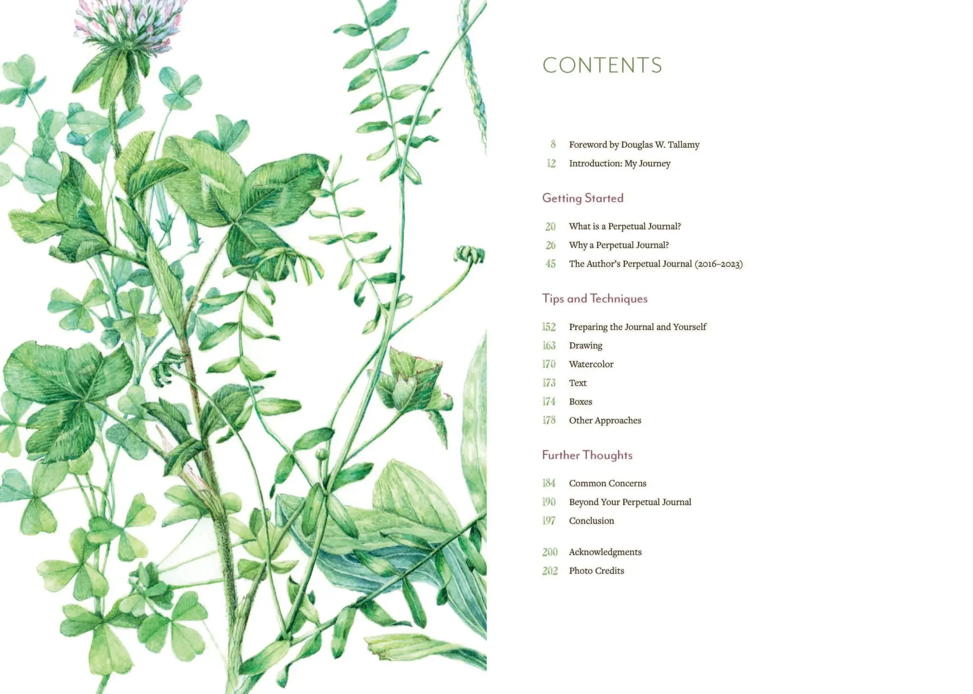 Bild: 9781643264905 | A Perpetual Journal Practice | Lara Call Gastinger | Taschenbuch