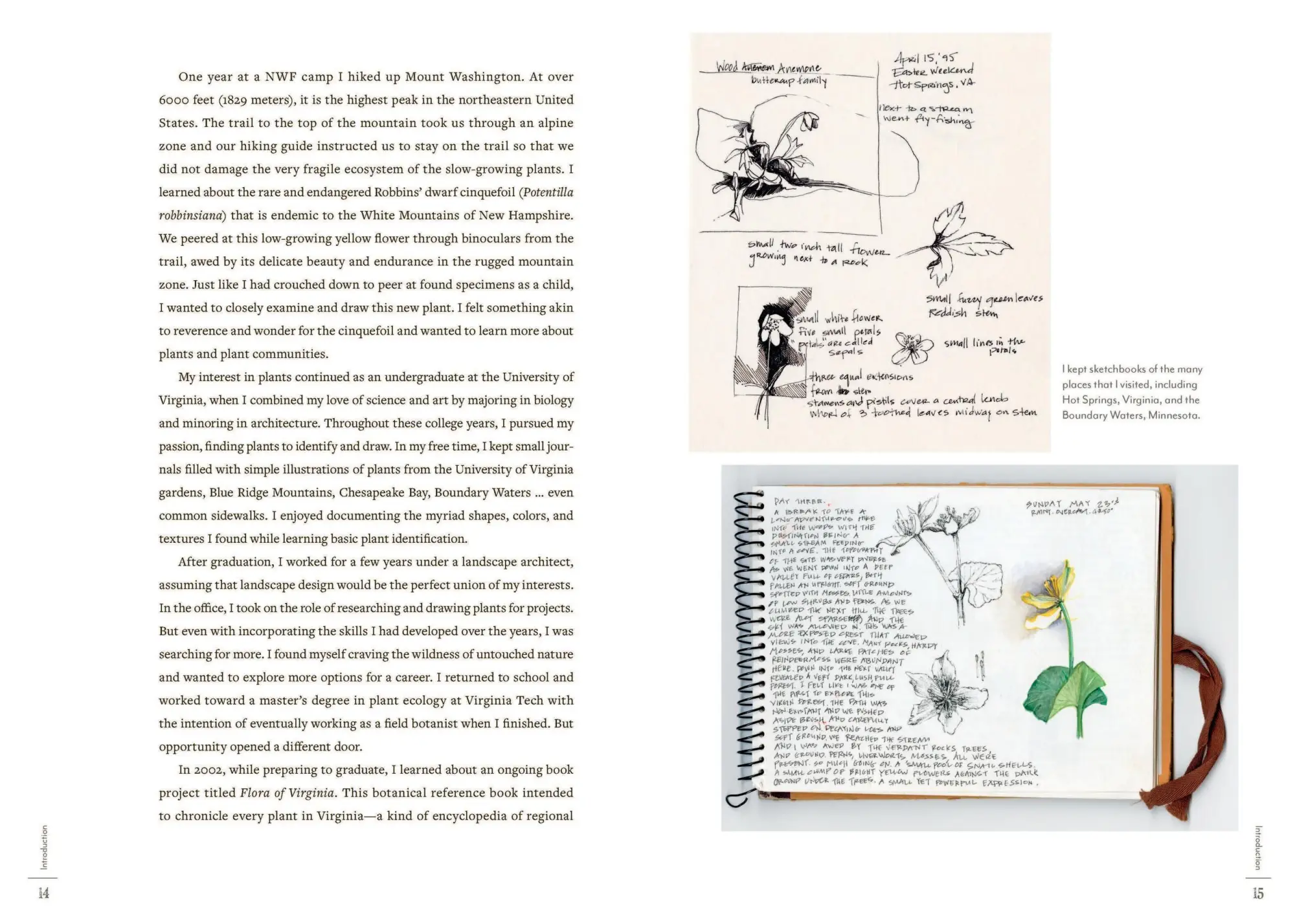Bild: 9781643264905 | A Perpetual Journal Practice | Lara Call Gastinger | Taschenbuch