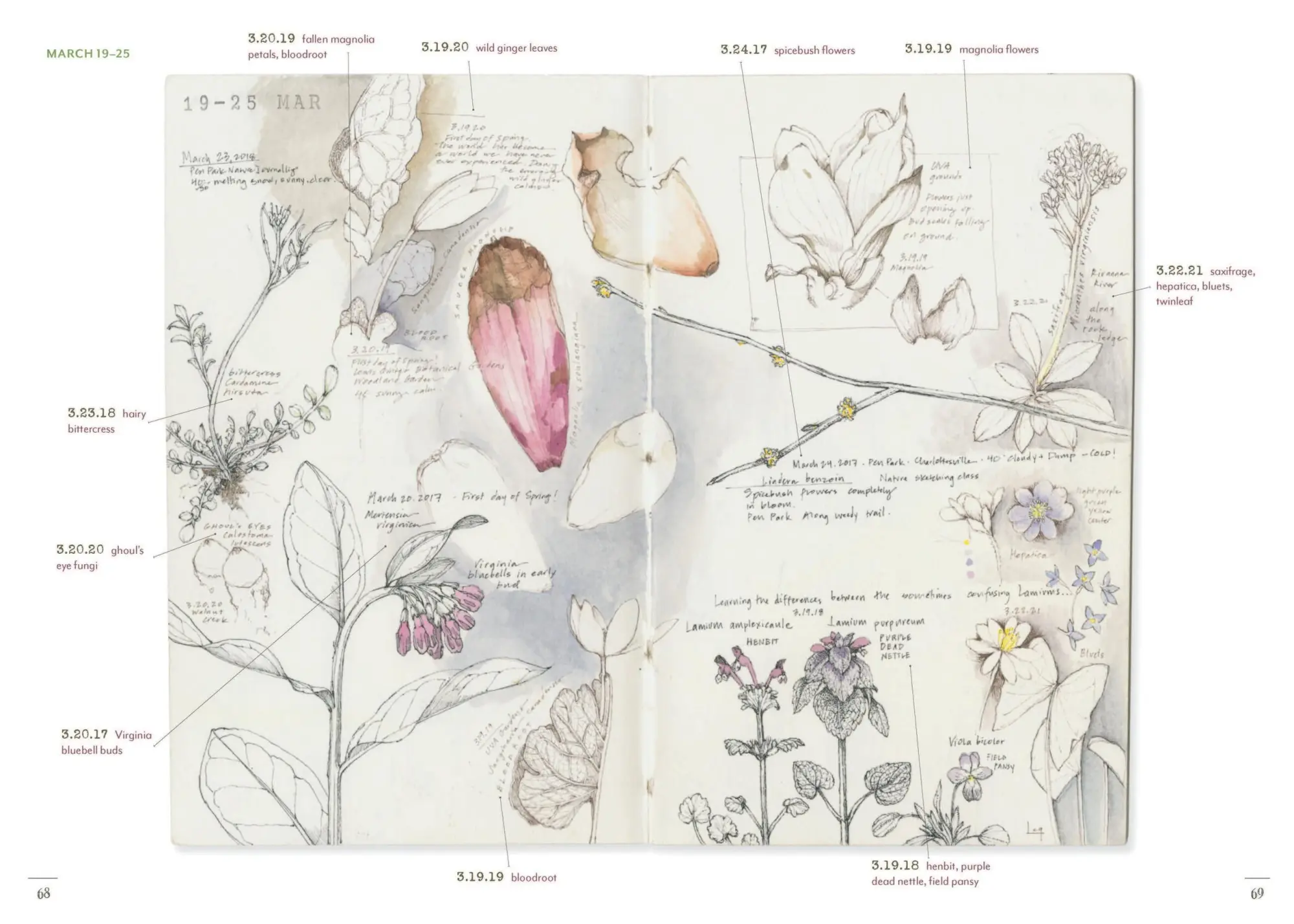 Bild: 9781643264905 | A Perpetual Journal Practice | Lara Call Gastinger | Taschenbuch