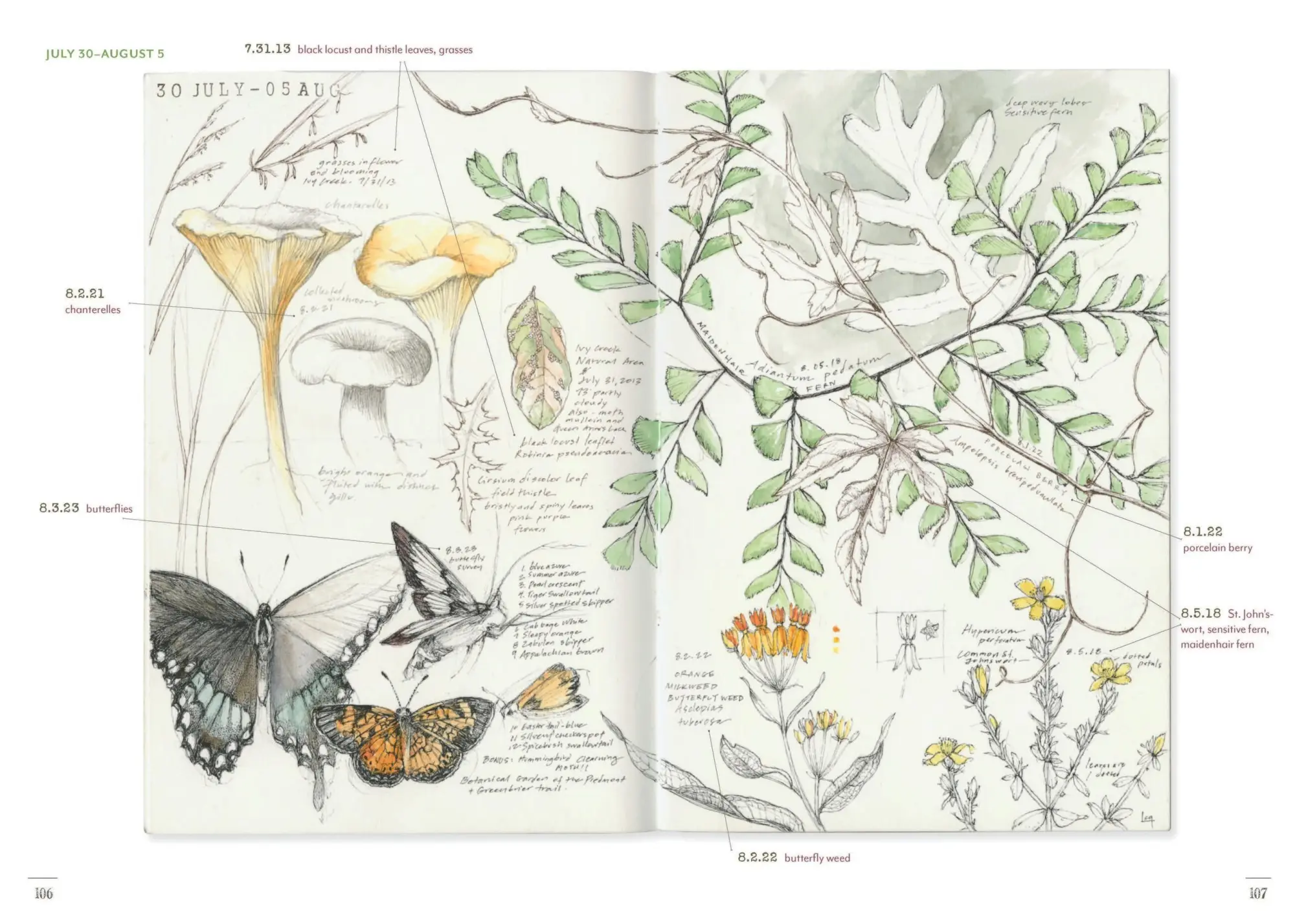 Bild: 9781643264905 | A Perpetual Journal Practice | Lara Call Gastinger | Taschenbuch