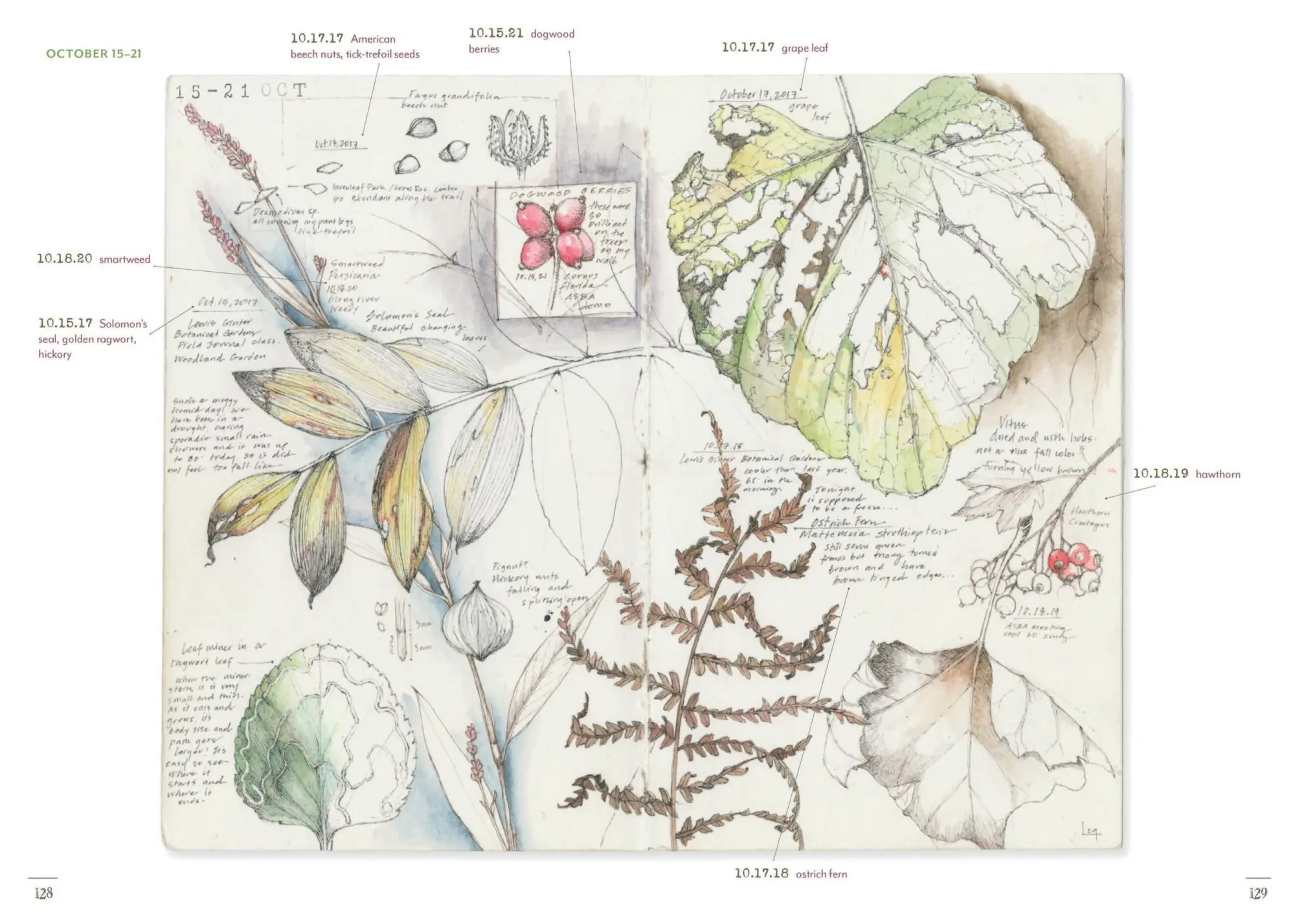 Bild: 9781643264905 | A Perpetual Journal Practice | Lara Call Gastinger | Taschenbuch