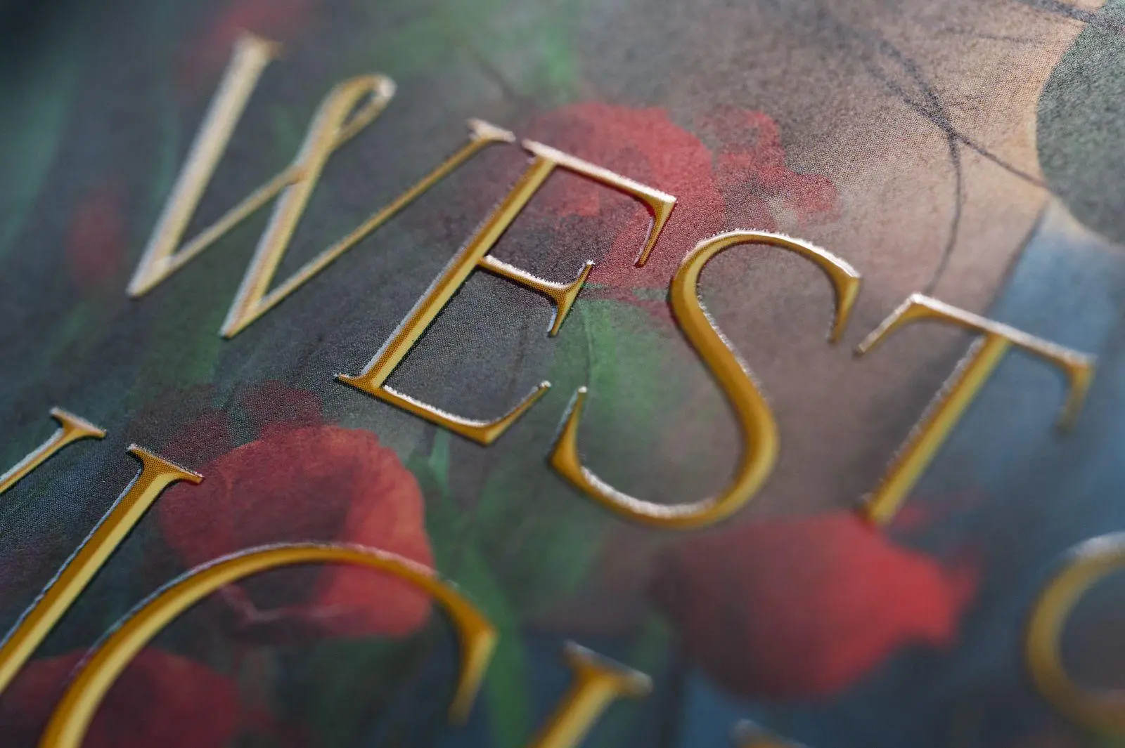 Bild: 9783426564905 | West of Wicked. Folge deinem Verlangen | Nikki St. Crowe | Buch | 2026