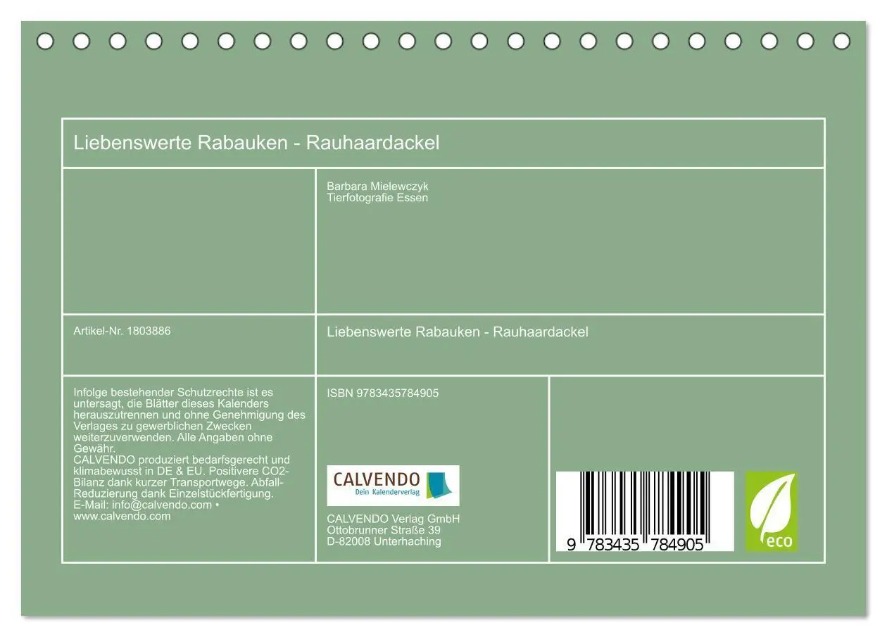 Bild: 9783435784905 | Liebenswerte Rabauken - Rauhaardackel (Tischkalender 2025 DIN A5...
