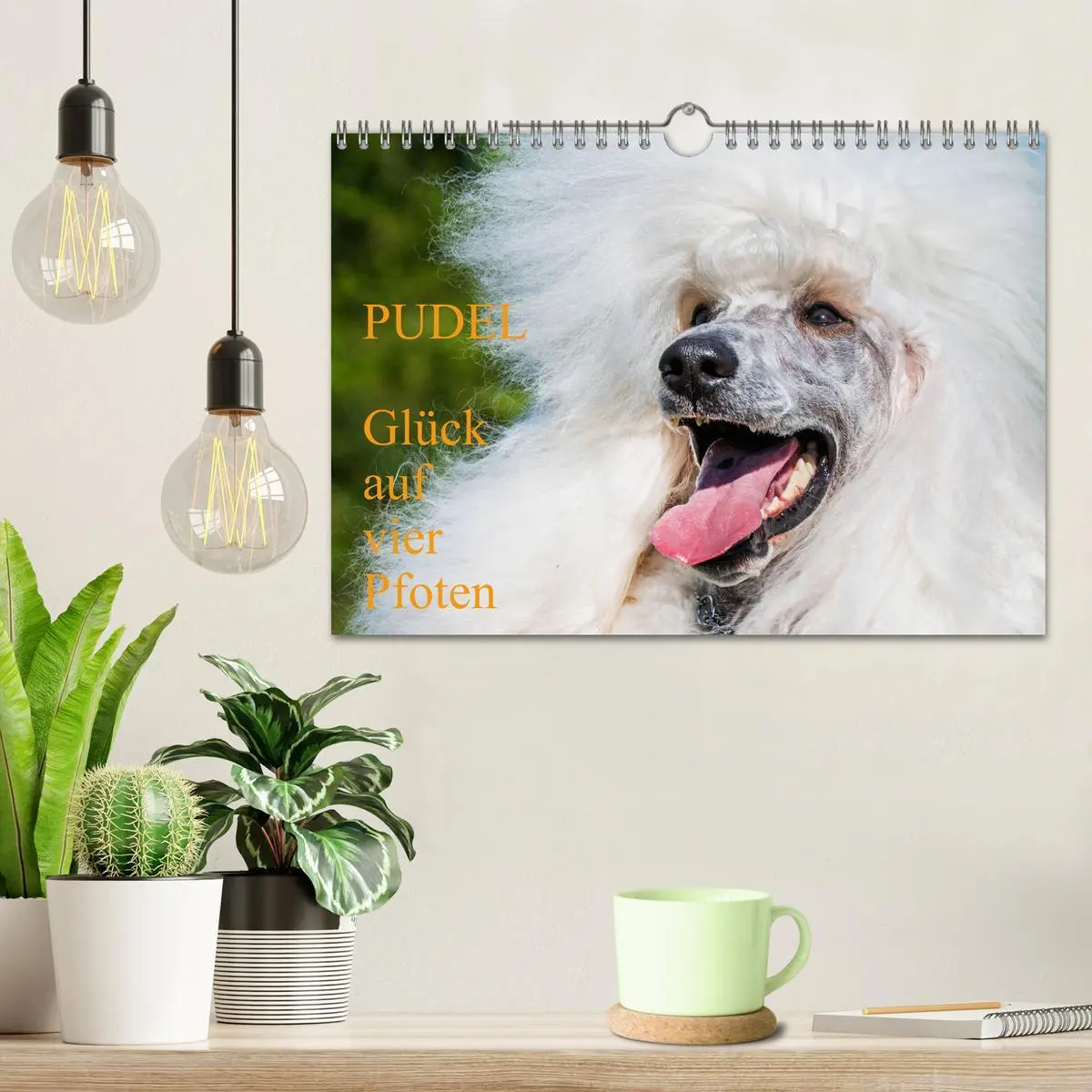 Bild: 9783457324905 | Pudel - Glück auf vier Pfoten (Wandkalender 2026 DIN A4 quer),...