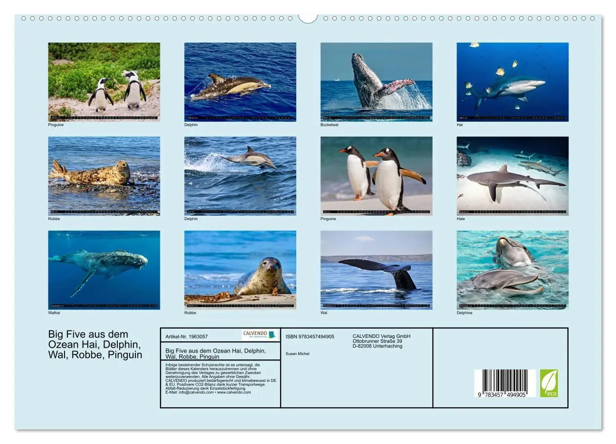 Bild: 9783457494905 | Big Five aus dem Ozean Hai, Delphin, Wal, Robbe, Pinguin...