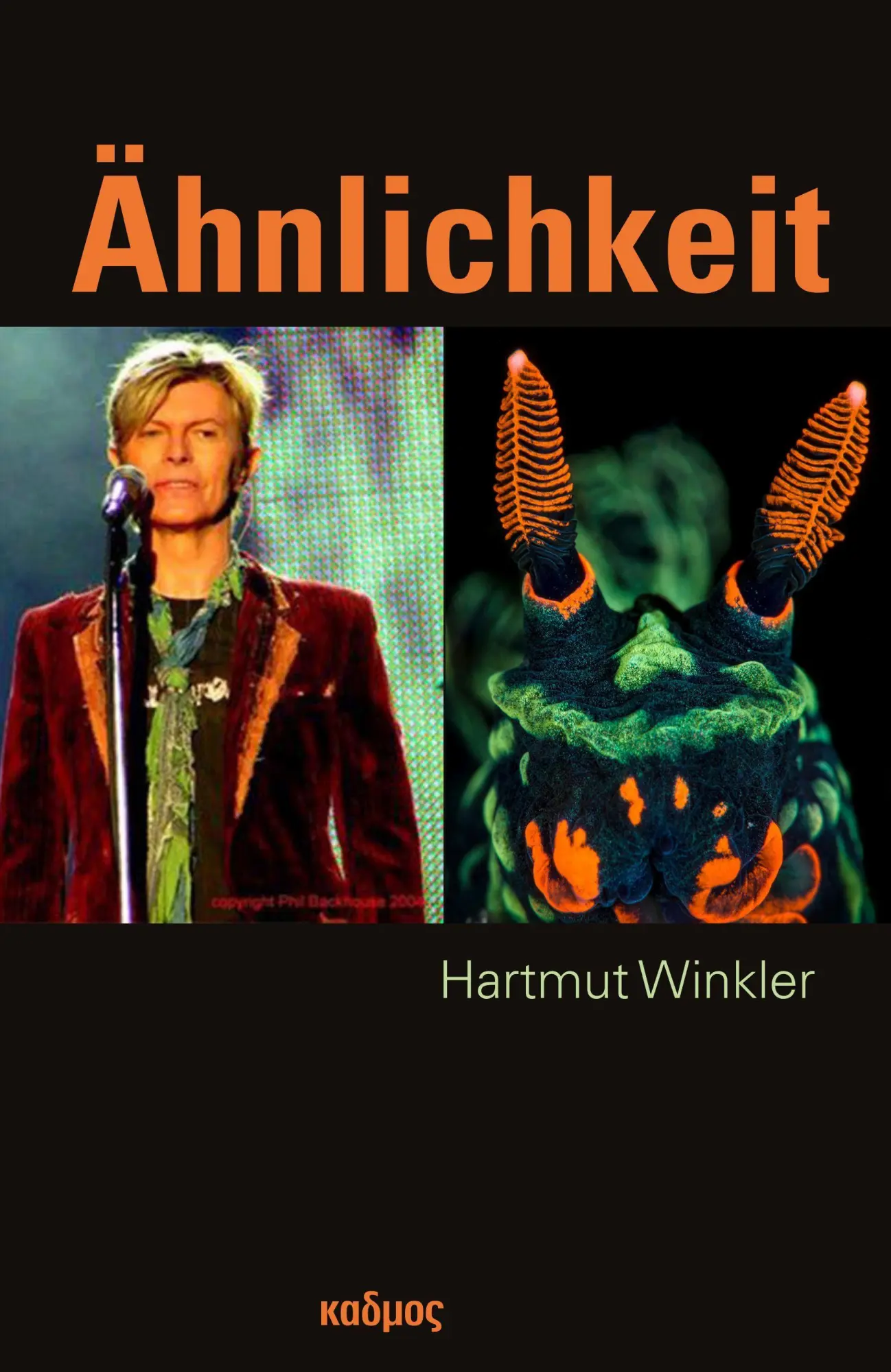Cover: 9783865994905 | Ähnlichkeit | Hartmut Winkler | Taschenbuch | 310 S. | Deutsch | 2021