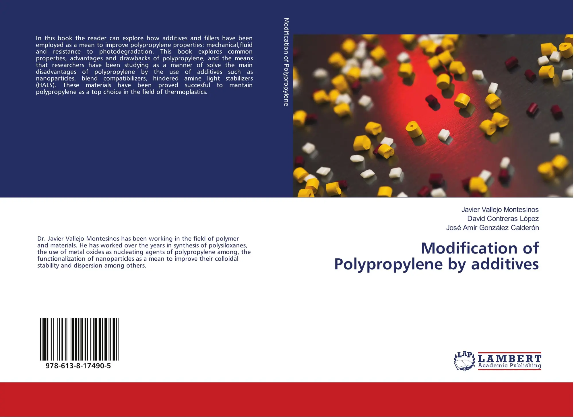 Cover: 9786138174905 | Modification of Polypropylene by additives | Montesinos (u. a.) | Buch