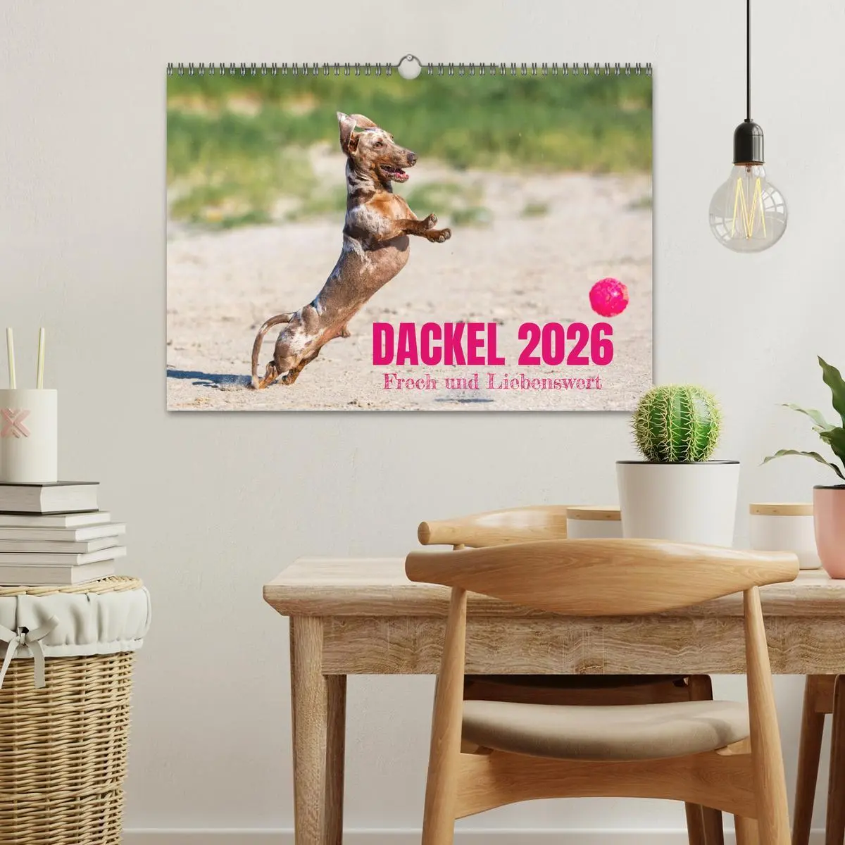 Bild: 9783516165005 | DACKEL 2026 Frech und Liebenwert (Wandkalender 2026 DIN A3 quer),...