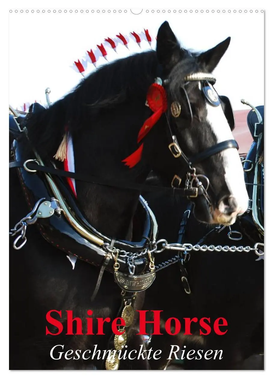 Cover: 9783516475005 | Shire Horse - Geschmückte Riesen (Wandkalender 2026 DIN A2 hoch),...