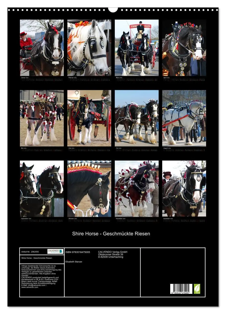 Bild: 9783516475005 | Shire Horse - Geschmückte Riesen (Wandkalender 2026 DIN A2 hoch),...