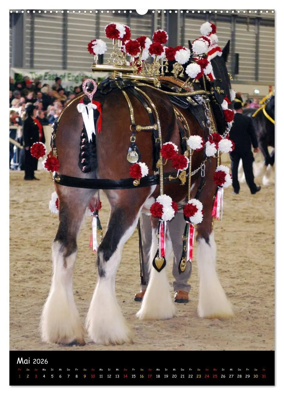 Bild: 9783516475005 | Shire Horse - Geschmückte Riesen (Wandkalender 2026 DIN A2 hoch),...