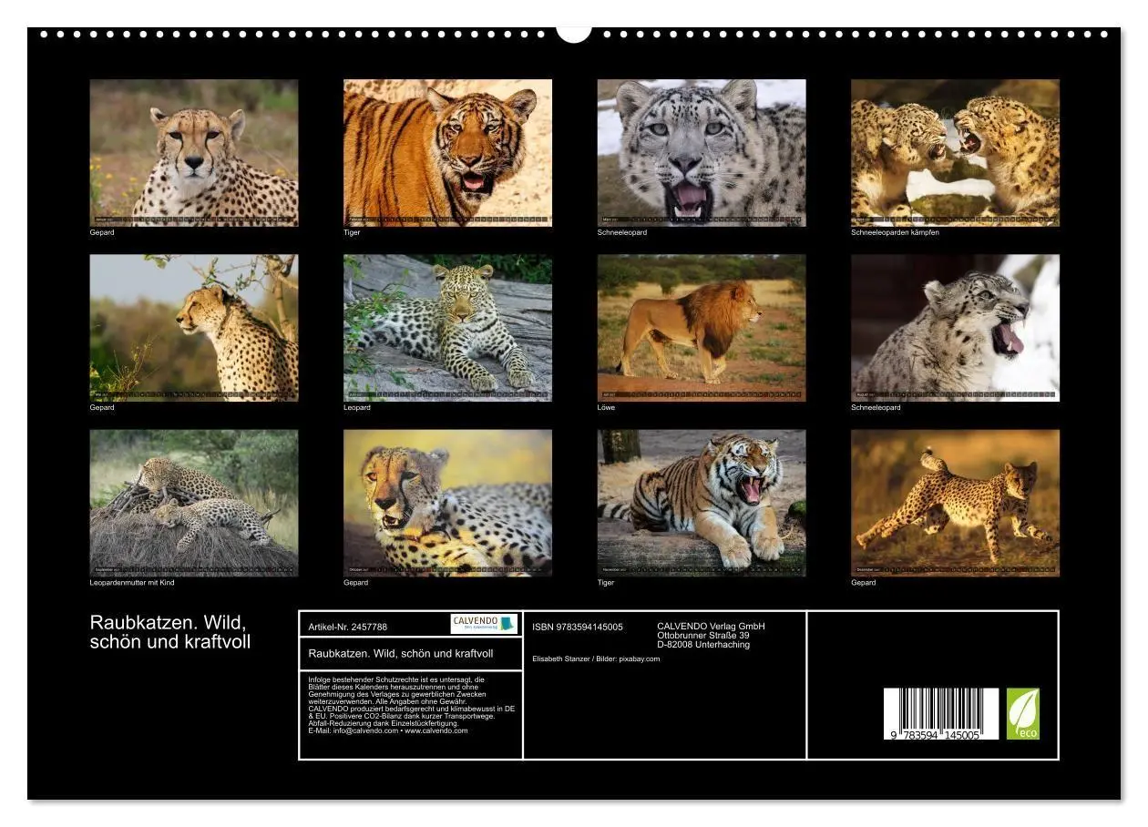 Bild: 9783594145005 | Raubkatzen. Wild, schön und kraftvoll (hochwertiger Premium...