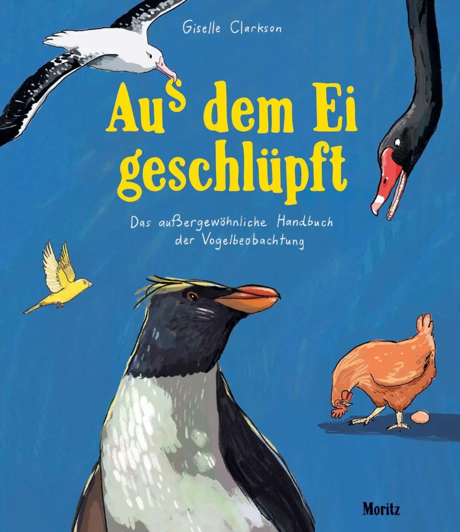 Cover: 9783895655005 | Aus dem Ei geschlüpft | Giselle Clarkson | Buch | 104 S. | Deutsch