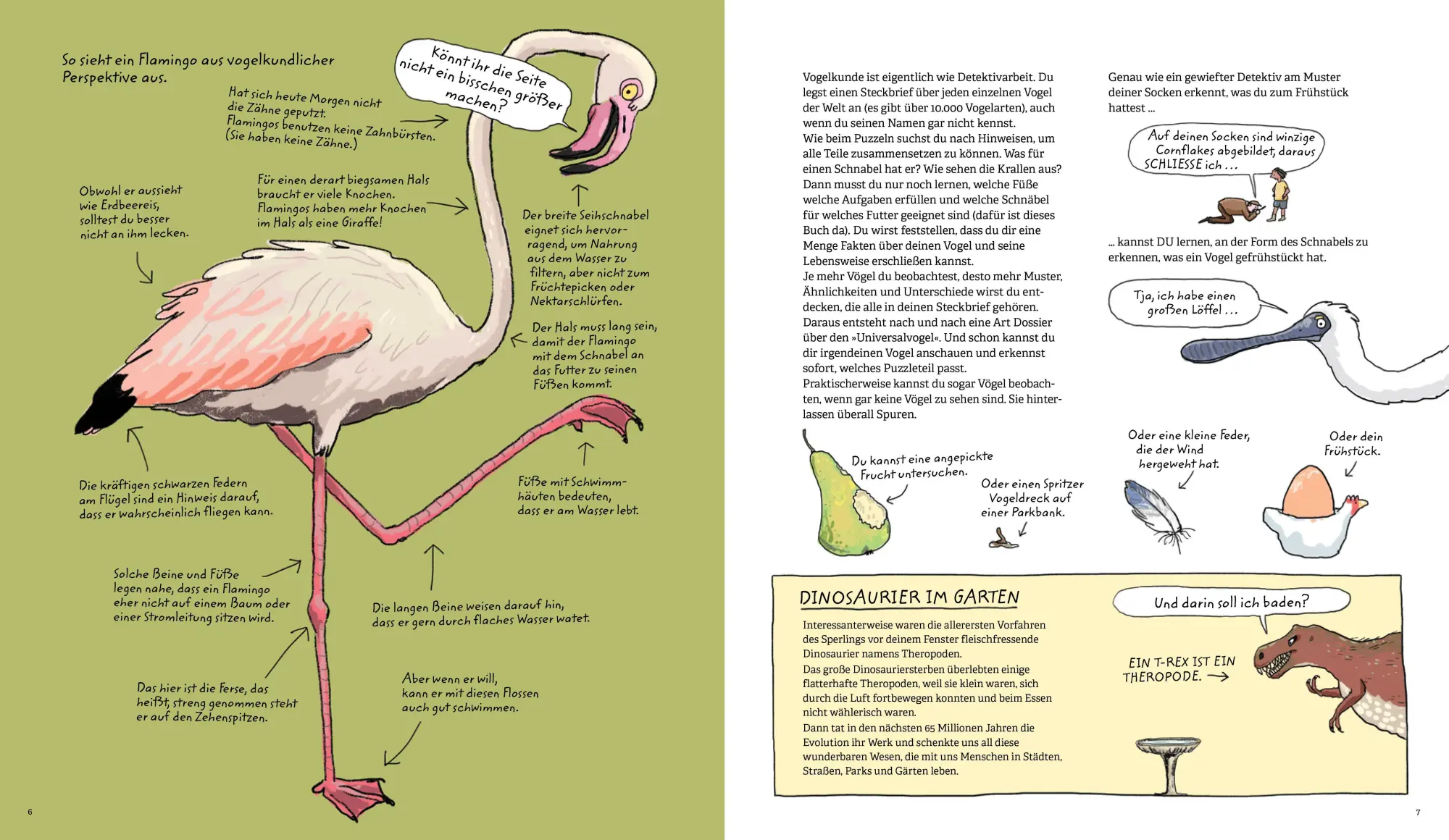 Bild: 9783895655005 | Aus dem Ei geschlüpft | Giselle Clarkson | Buch | 104 S. | Deutsch