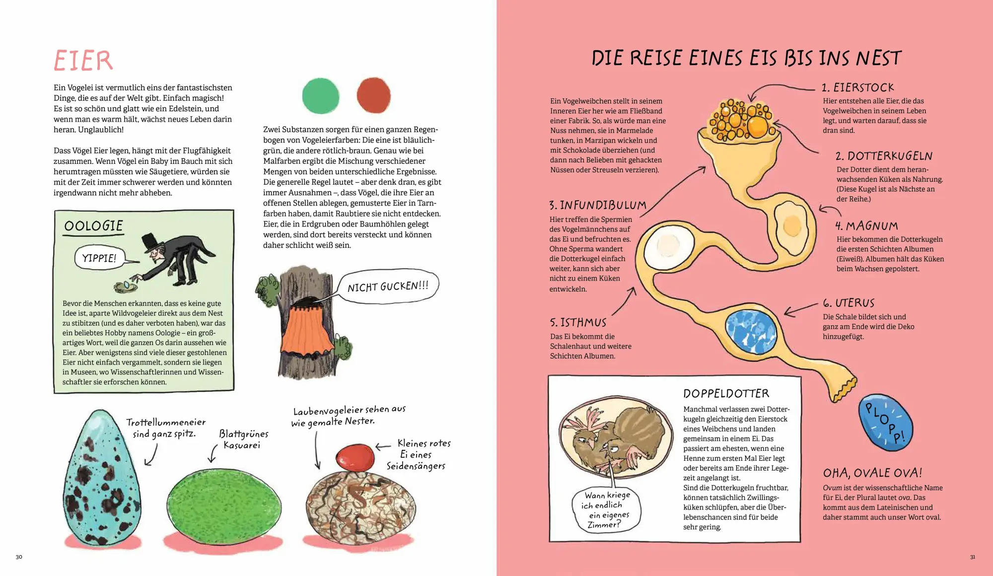 Bild: 9783895655005 | Aus dem Ei geschlüpft | Giselle Clarkson | Buch | 104 S. | Deutsch