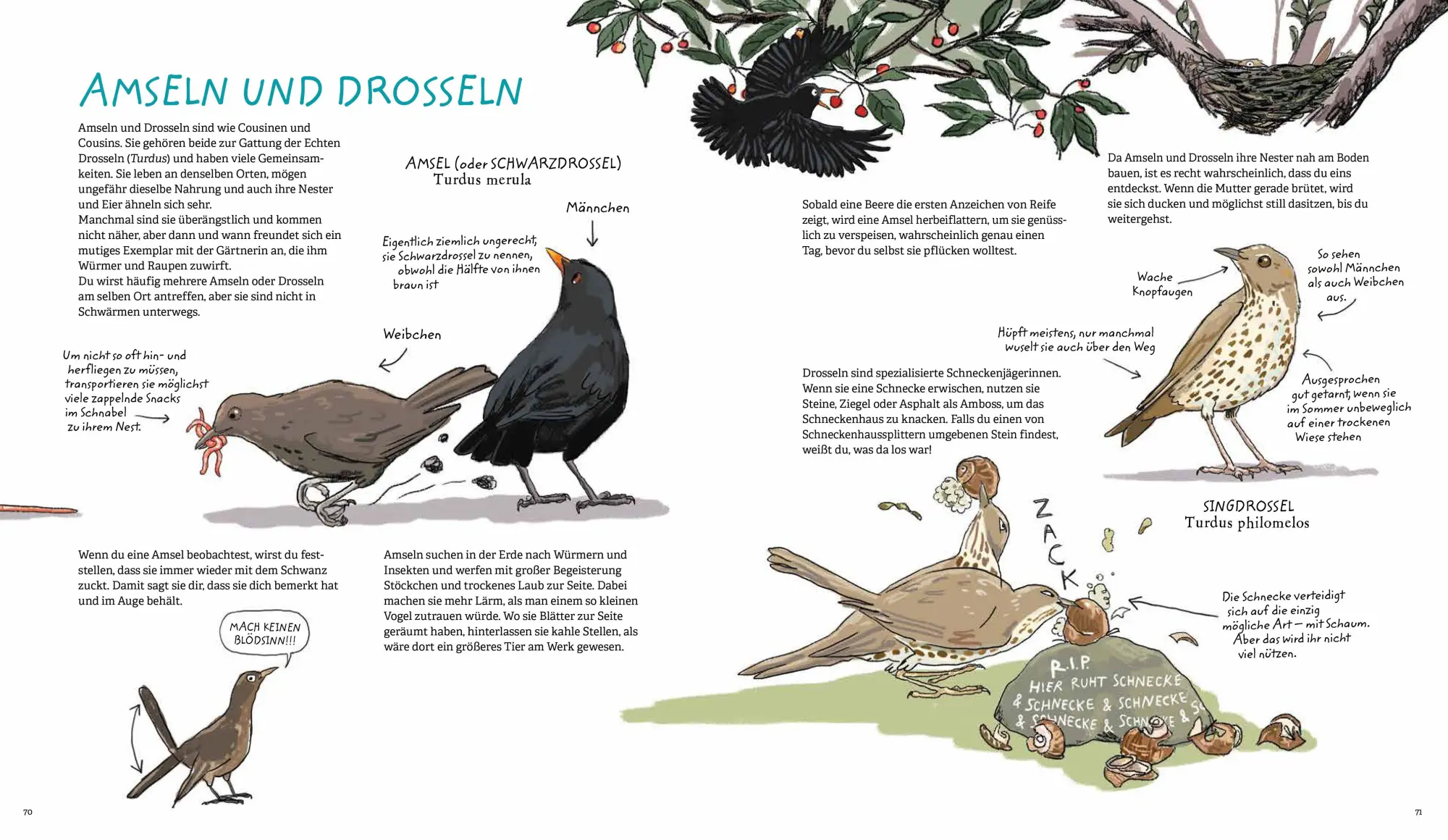 Bild: 9783895655005 | Aus dem Ei geschlüpft | Giselle Clarkson | Buch | 104 S. | Deutsch
