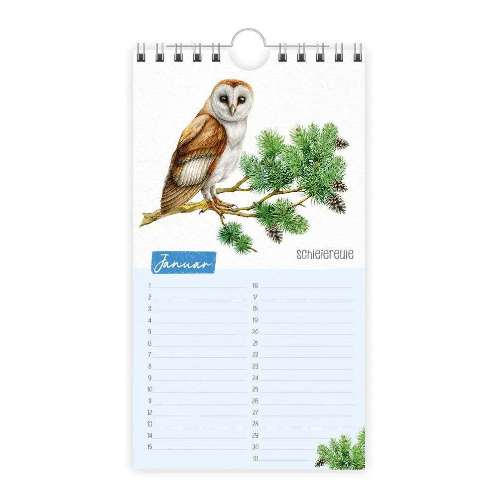 Bild: 9783988025005 | Trötsch Geburtstagskalender Unsere Vogelwelt | KG | Kalender | 24 S.