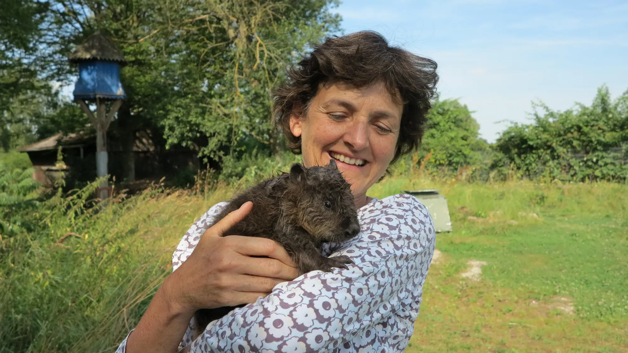 Autor: 9781509805105 | Wilding | The Return of Nature to a British Farm | Isabella Tree | XX Autor: 9781509805105 | Wilding | The Return of Nature to a British Farm | Isabella Tree | XX