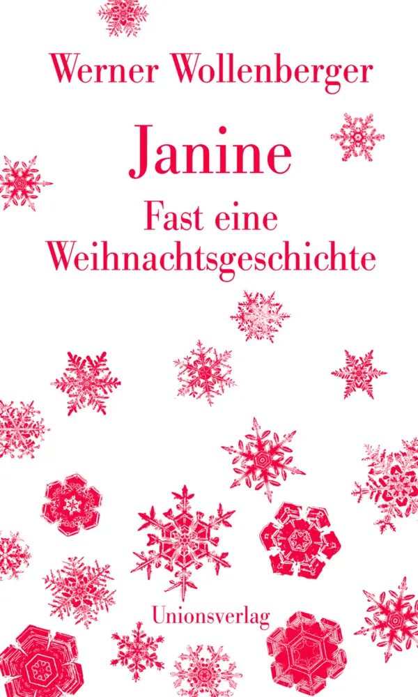 Cover: 9783293005105 | Janine - Fast eine Weihnachtsgeschichte | Werner Wollenberger | Buch