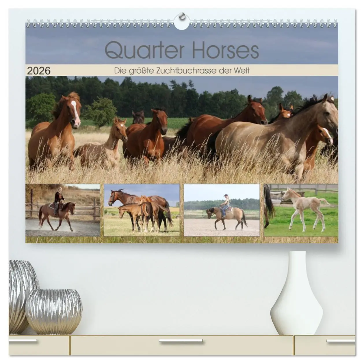 Cover: 9783457755105 | Quarter Horses - Die größte Zuchtbuchrasse der Welt (hochwertiger...