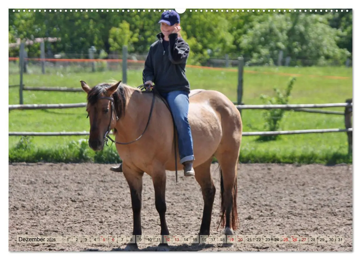 Bild: 9783457755105 | Quarter Horses - Die größte Zuchtbuchrasse der Welt (hochwertiger...