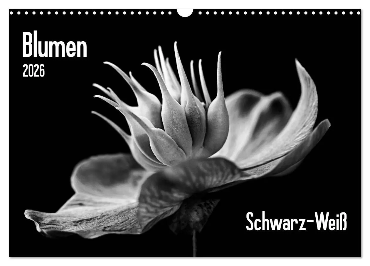 Cover: 9783516085105 | Blumen 2026, Schwarz-Weiß (Wandkalender 2026 DIN A3 quer), CALVENDO...