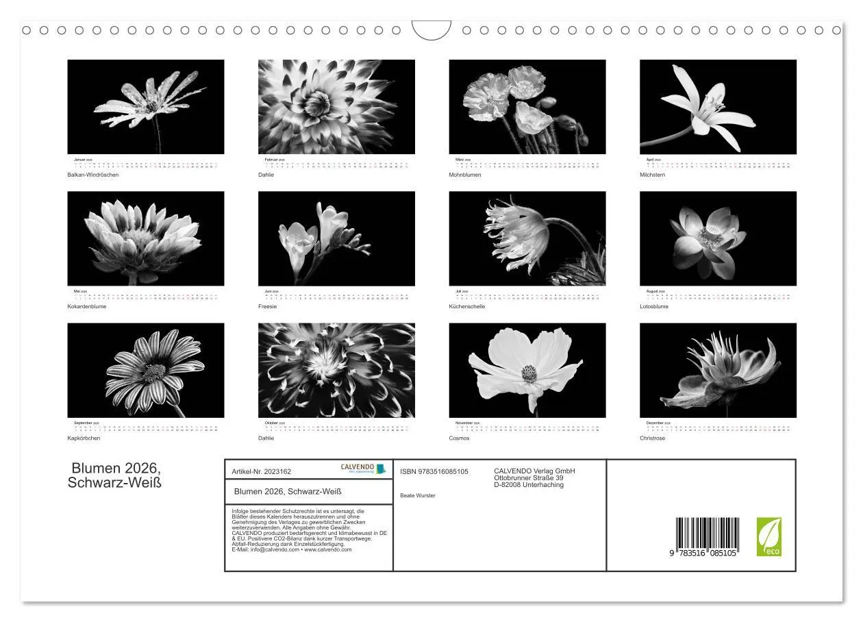 Bild: 9783516085105 | Blumen 2026, Schwarz-Weiß (Wandkalender 2026 DIN A3 quer), CALVENDO...