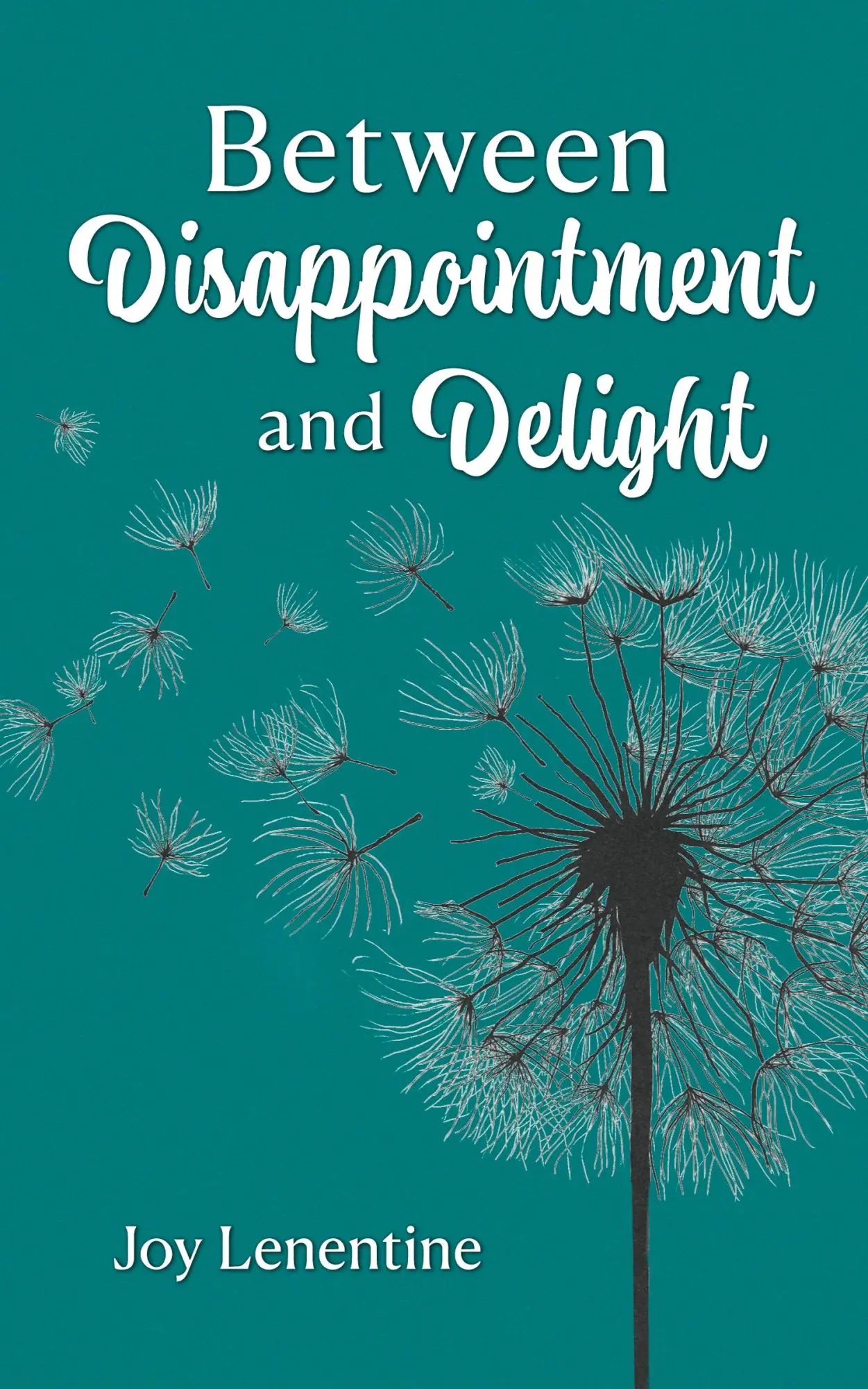 Cover: 9781038315205 | Between Disappointment and Delight | Joy Lenentine | Taschenbuch