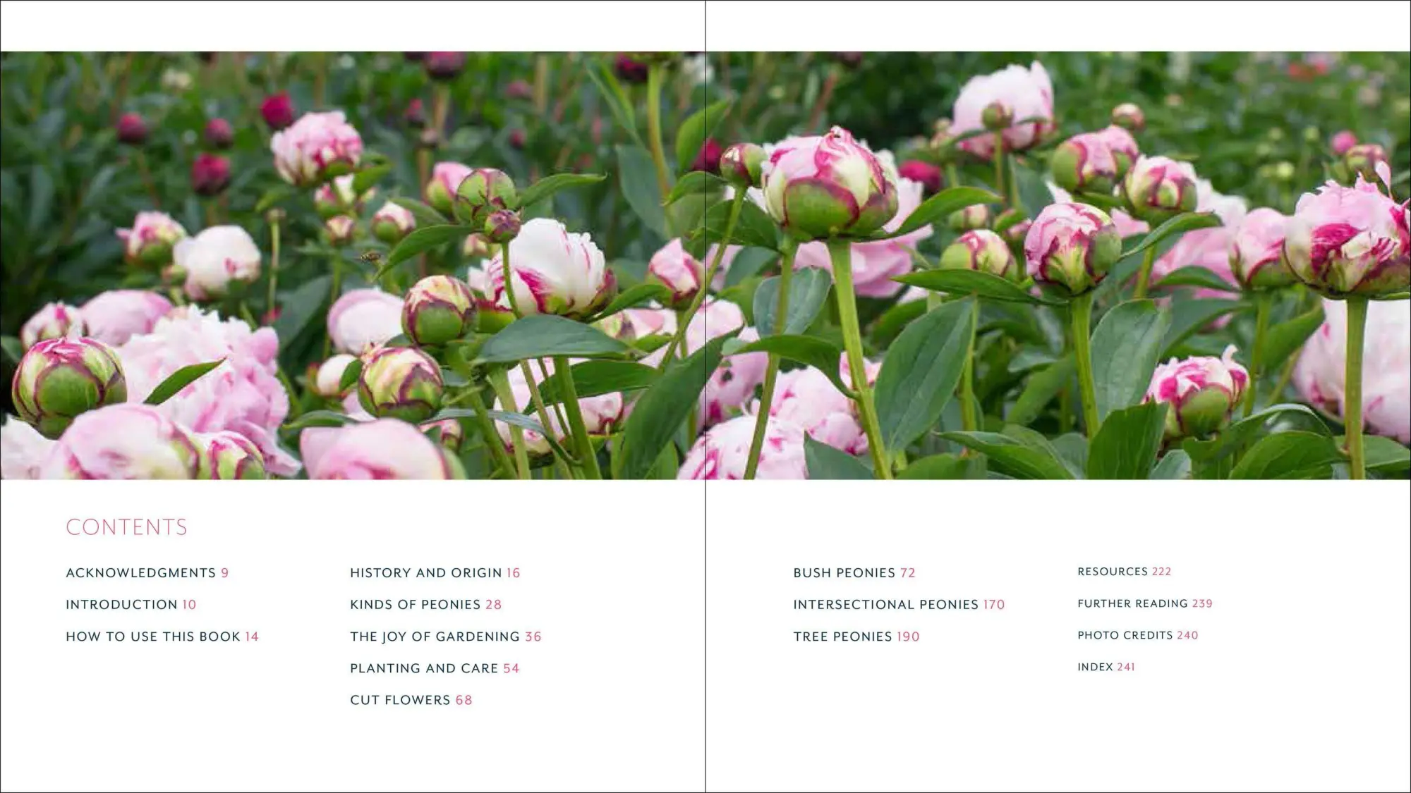Bild: 9781604695205 | Peony | The Best Varieties for Your Garden | David C Michener (u. a.)