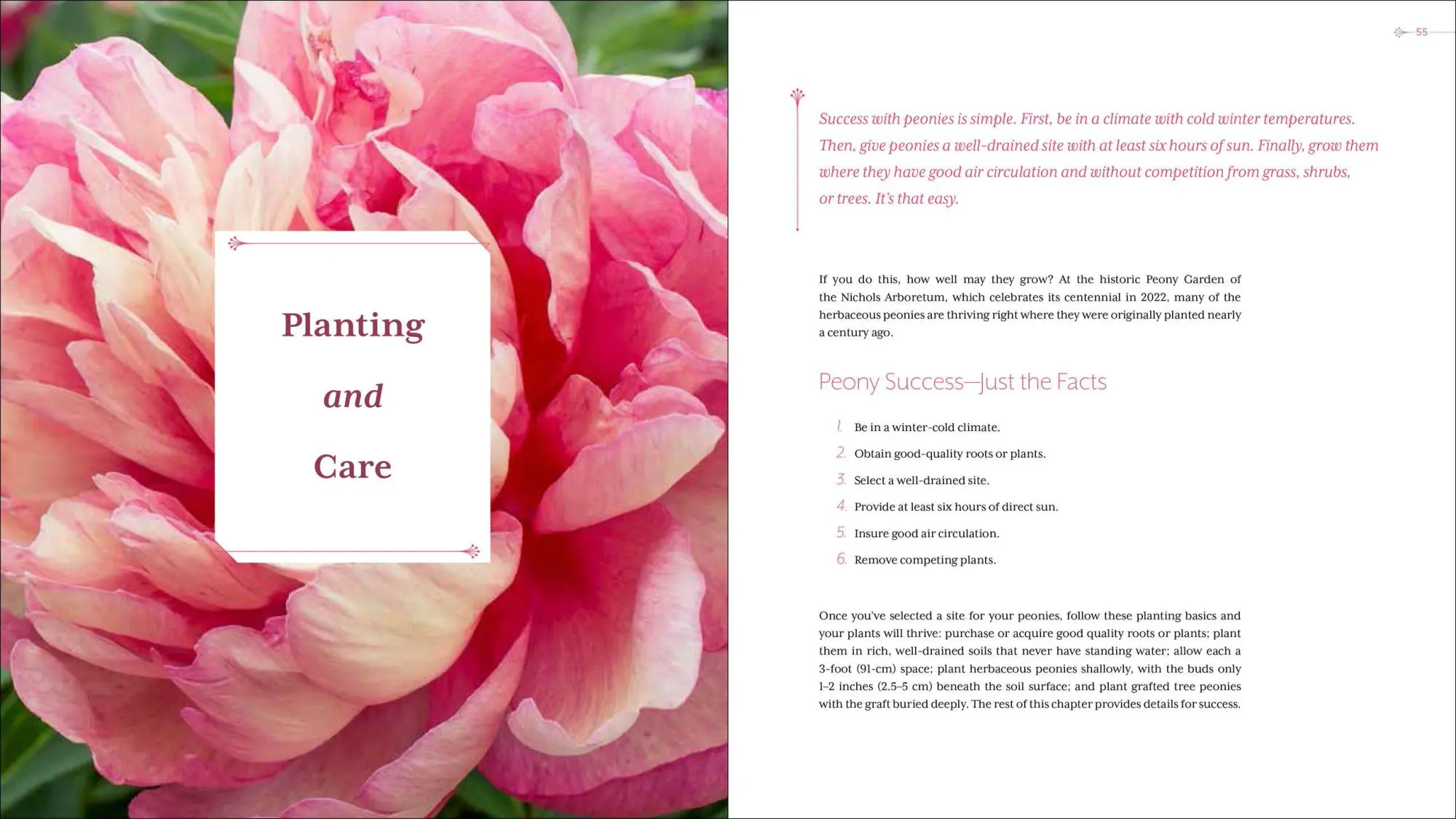 Bild: 9781604695205 | Peony | The Best Varieties for Your Garden | David C Michener (u. a.)